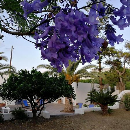 Casa Carlotta Bed & Breakfast Stromboli Dış mekan fotoğraf