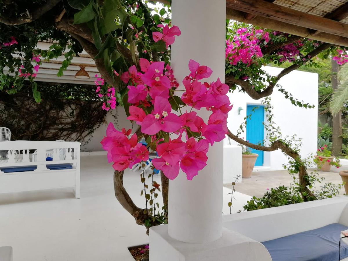 Casa Carlotta Bed & Breakfast Stromboli Dış mekan fotoğraf