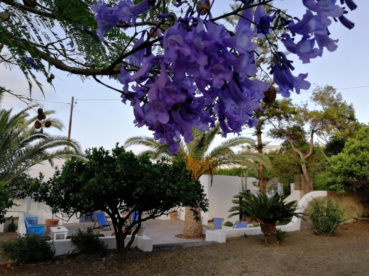Casa Carlotta Bed & Breakfast Stromboli Dış mekan fotoğraf